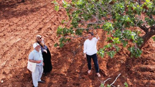 AK Parti Gaziantep Milletvekili Ali Şahin Dolu Felaketini açıkladı